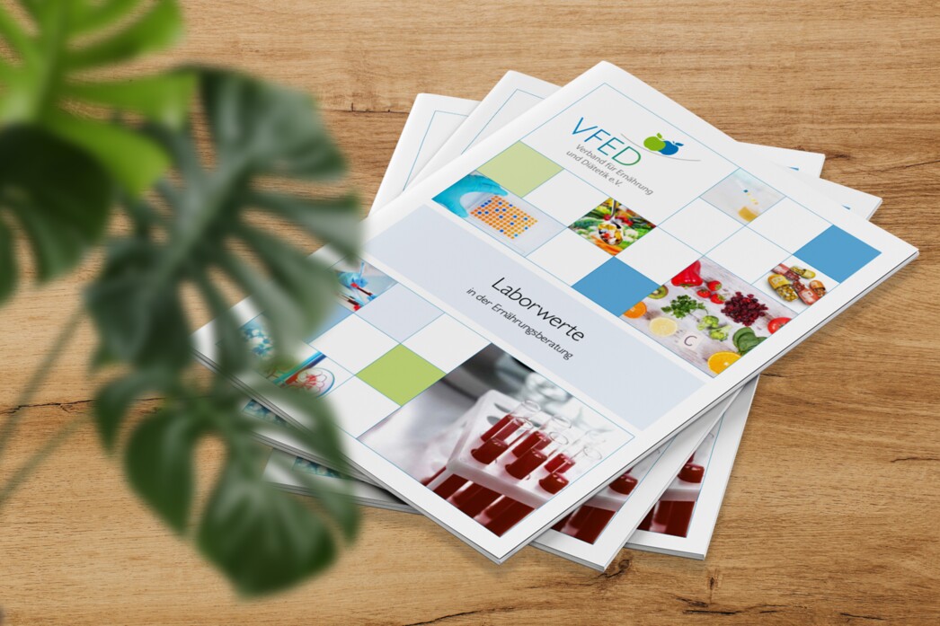 Printdesign Aachen: VFED-Fachmagazin zum Thema Laborwerte
