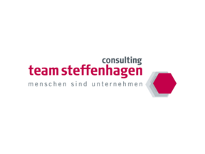 team steffenhagen consulting GmbH